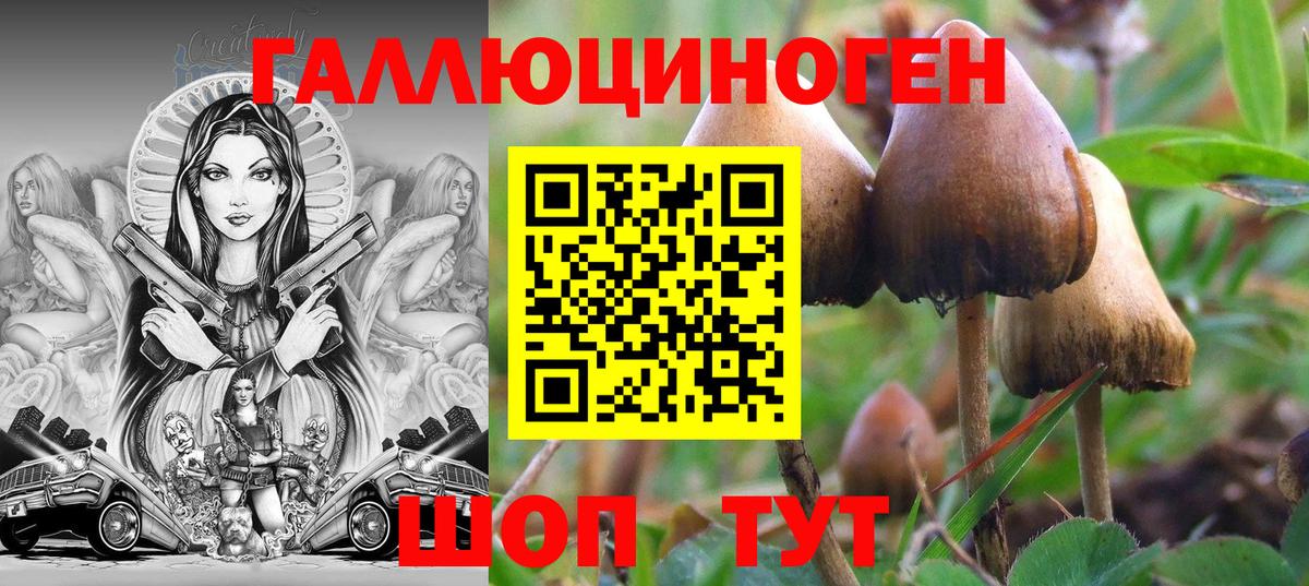 Псилоцибиновые грибы прущие грибы Озёры